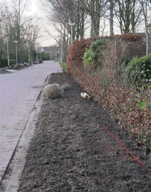 Inboet van planten opnemen en verzorgen Inboet van planten opnemen en verzorgen